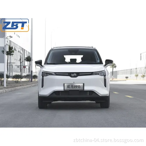 Green New Energy Vehicle Wm W6 Luxury Smart Private Electric Motor Car 4X2 2WD EV SUV with LED Automatic Steering Headlight